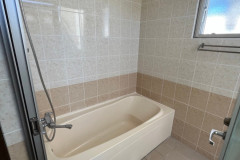 MDEA0954