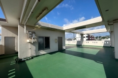 LINE_ALBUM_Sunflower-4-301_240521_1