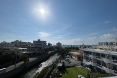 LINE_ALBUM_Sunflower-4-301_240521_2